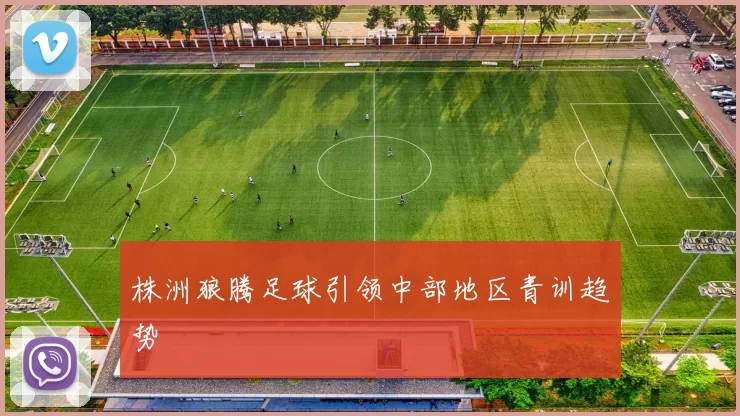 株洲狼腾足球引领中部地区青训趋势