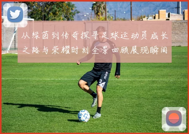从绿茵到传奇探寻足球运动员成长之路与荣耀时刻全景回顾展现瞬间