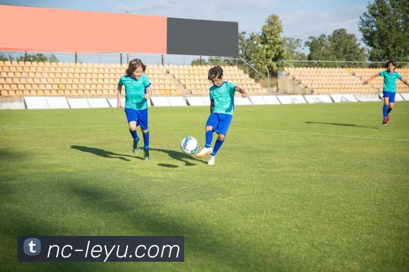 App Interface Preview